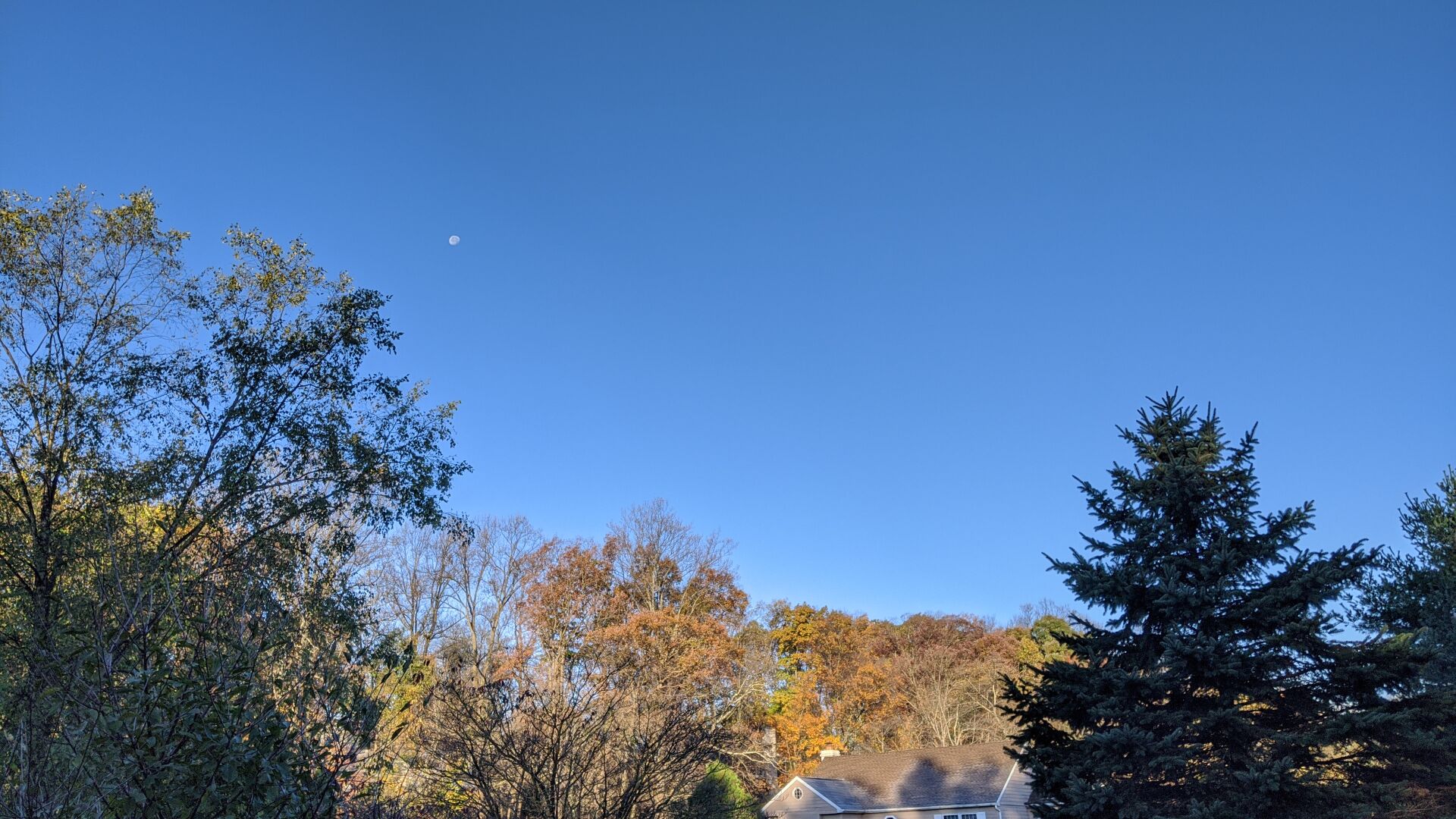 Daytime Moon